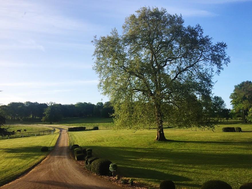 Hotel Haras De La Potardiere Crosmieres Bagian luar foto