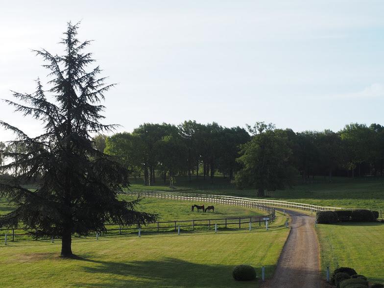 Hotel Haras De La Potardiere Crosmieres Bagian luar foto